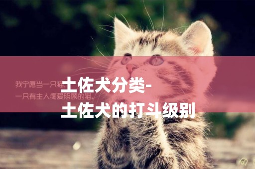 土佐犬分類-
土佐犬的打斗級別