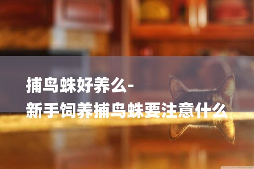 捕鳥蛛好養么-
新手飼養捕鳥蛛要注意什么