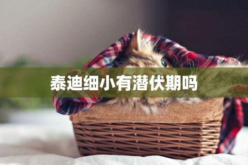 泰迪細小有潛伏期嗎
