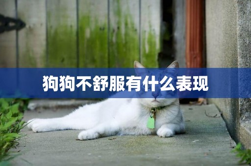 狗狗不舒服有什么表現