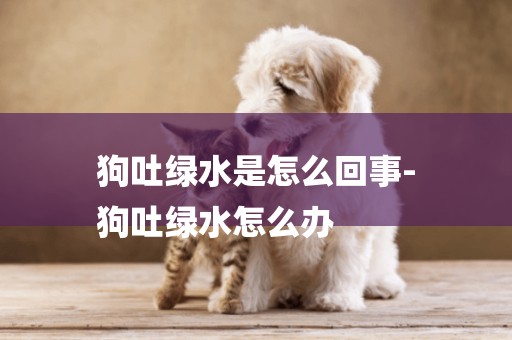 狗吐綠水是怎么回事-
狗吐綠水怎么辦