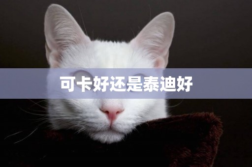 可卡好還是泰迪好