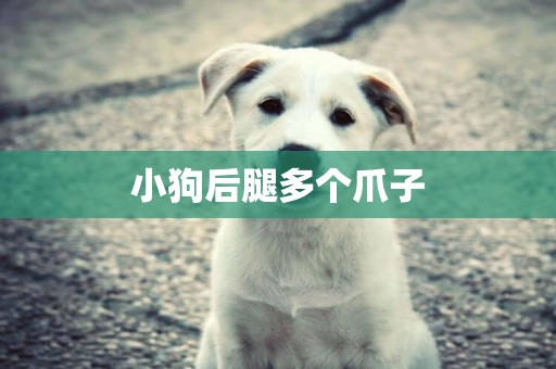 小狗后腿多個爪子