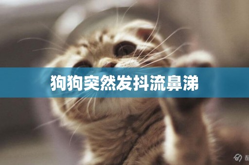狗狗突然發抖流鼻涕