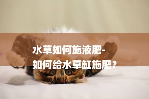 水草如何施液肥-
如何給水草缸施肥？