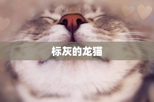 標灰的龍貓
