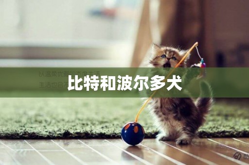 比特和波爾多犬