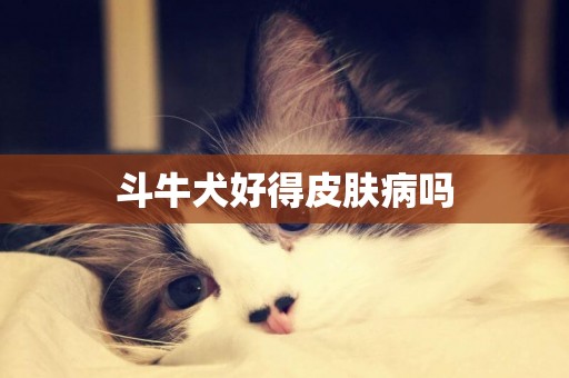 斗牛犬好得皮膚病嗎