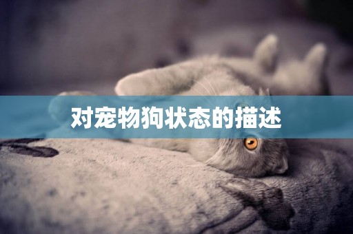 對寵物狗狀態的描述