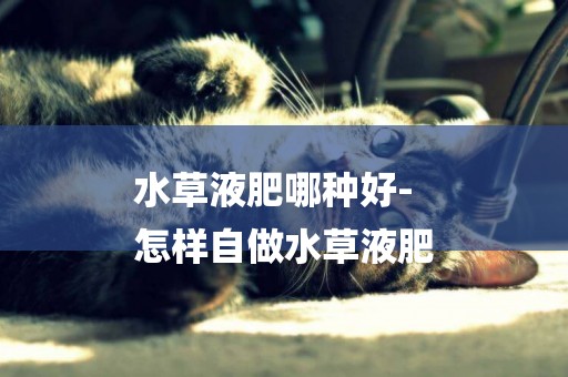 水草液肥哪種好-
怎樣自做水草液肥