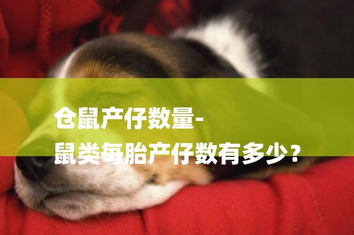 倉鼠產仔數量-
鼠類每胎產仔數有多少？