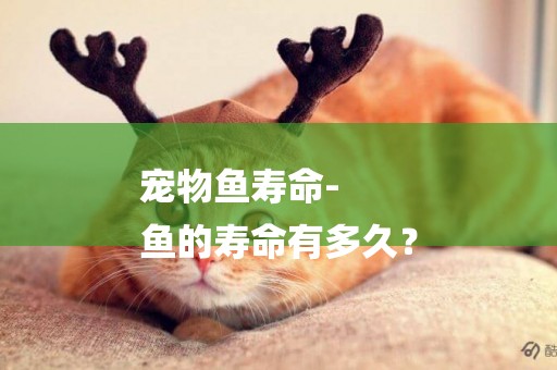 寵物魚壽命-
魚的壽命有多久？