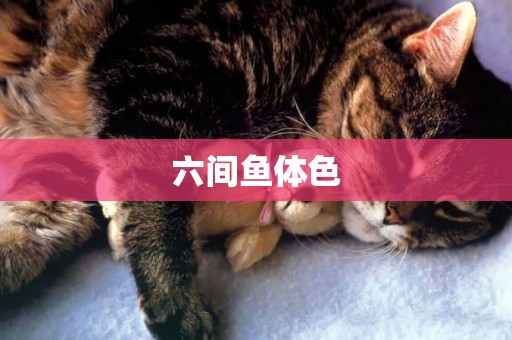 六間魚體色