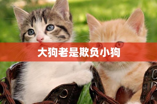 大狗老是欺負小狗