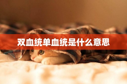雙血統單血統是什么意思