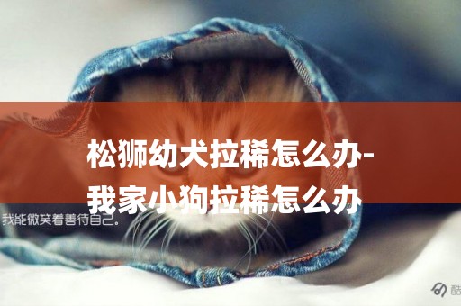 松獅幼犬拉稀怎么辦-
我家小狗拉稀怎么辦