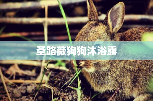 圣路薇狗狗沐浴露