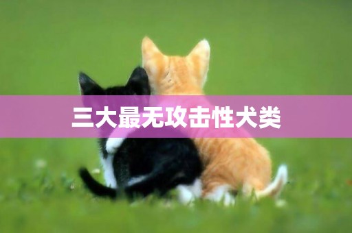三大最無攻擊性犬類
