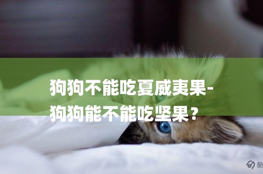 狗狗不能吃夏威夷果-
狗狗能不能吃堅果？