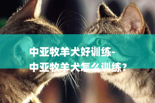 中亞牧羊犬好訓練-
中亞牧羊犬怎么訓練？