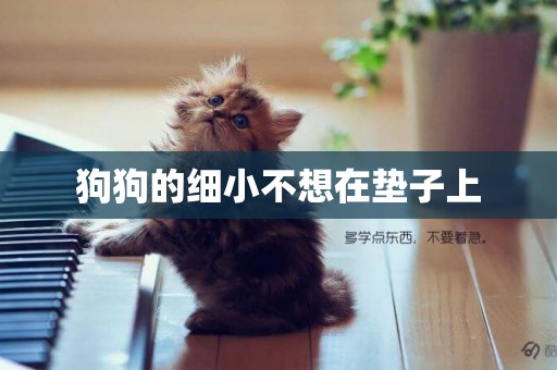 狗狗的細小不想在墊子上