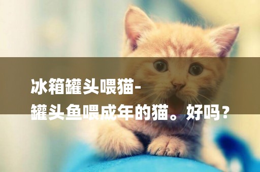 冰箱罐頭喂貓-
罐頭魚喂成年的貓。好嗎？
