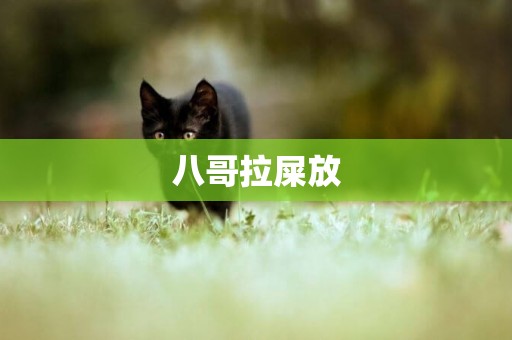 八哥拉屎放