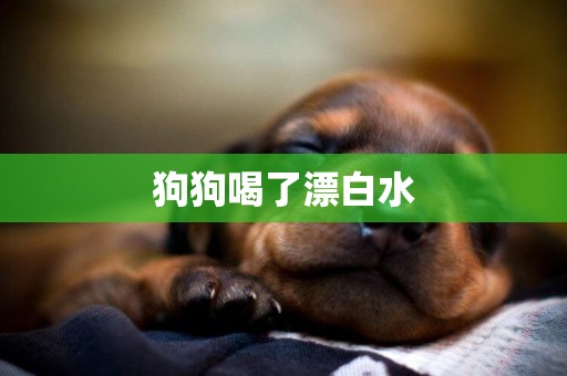 狗狗喝了漂白水