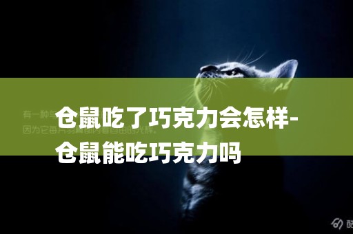 倉鼠吃了巧克力會怎樣-
倉鼠能吃巧克力嗎