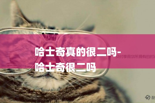 哈士奇真的很二嗎-
哈士奇很二嗎