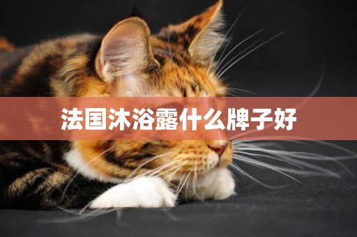 法國沐浴露什么牌子好