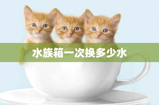 水族箱一次換多少水