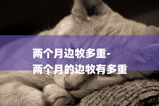 兩個月邊牧多重-
兩個月的邊牧有多重