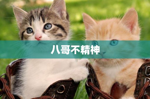 八哥不精神