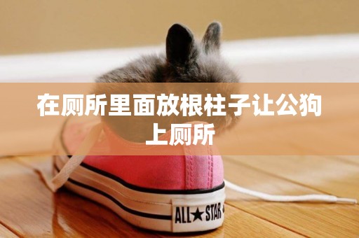 在廁所里面放根柱子讓公狗上廁所