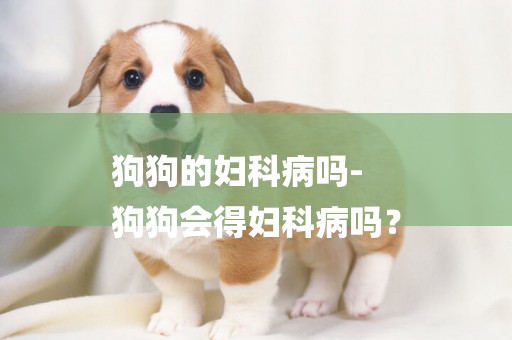 狗狗的婦科病嗎-
狗狗會得婦科病嗎？