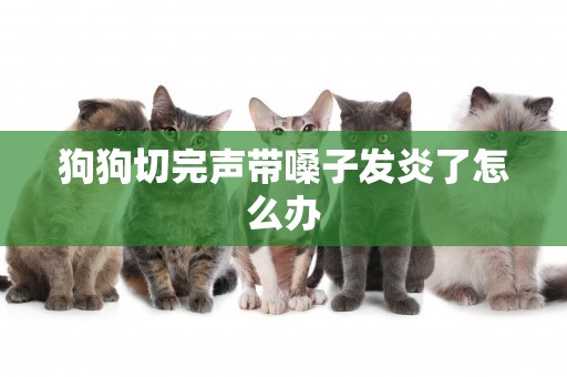 狗狗切完聲帶嗓子發炎了怎么辦