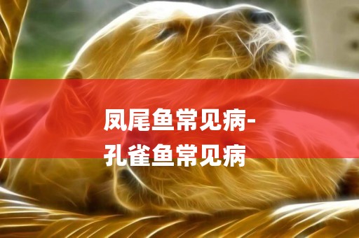 鳳尾魚常見病-
孔雀魚常見病