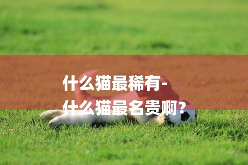 什么貓最稀有-
什么貓最名貴啊？