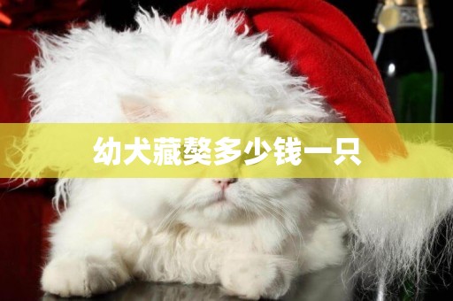 幼犬藏獒多少錢一只