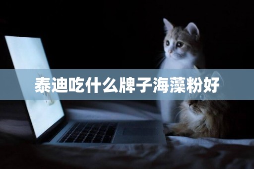 泰迪吃什么牌子海藻粉好