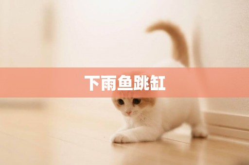下雨魚跳缸