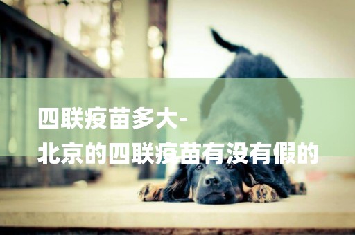 四聯疫苗多大-
北京的四聯疫苗有沒有假的