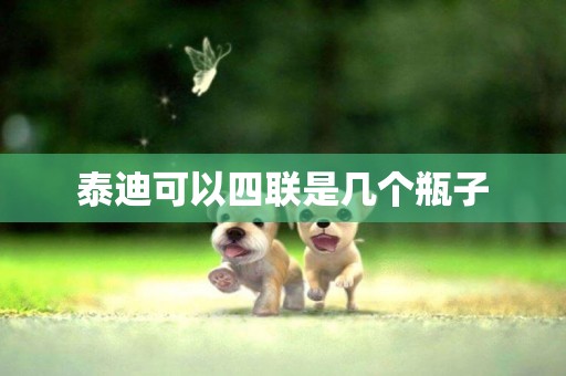 泰迪可以四聯是幾個瓶子
