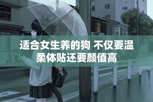 適合女生養的狗 不僅要溫柔體貼還要顏值高