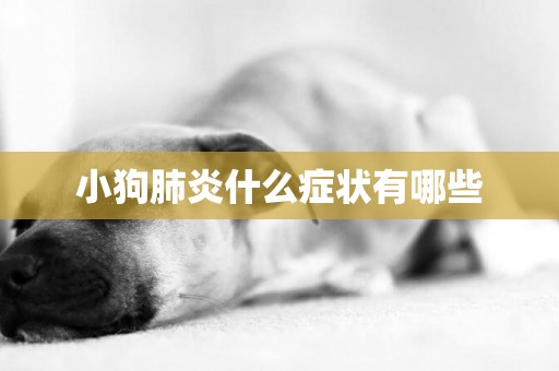 小狗肺炎什么癥狀有哪些