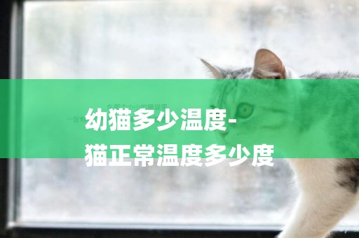 幼貓多少溫度-
貓正常溫度多少度