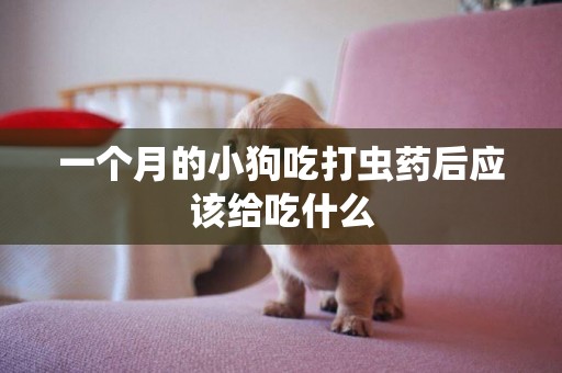 一個月的小狗吃打蟲藥后應該給吃什么