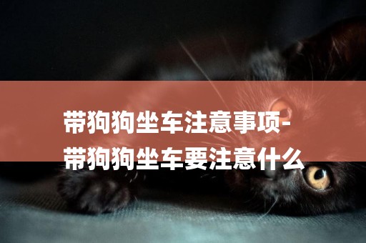 帶狗狗坐車注意事項-
帶狗狗坐車要注意什么