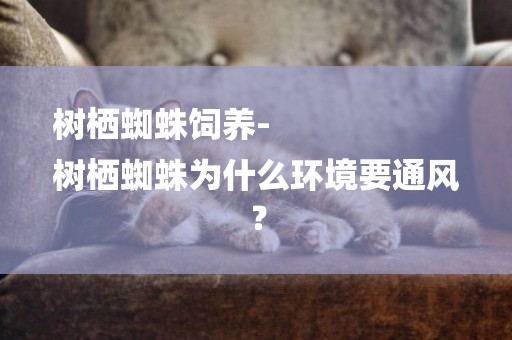 樹棲蜘蛛飼養-
樹棲蜘蛛為什么環境要通風？